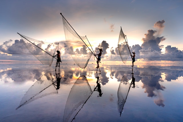 Pesca artesanal : Malla para atarraya